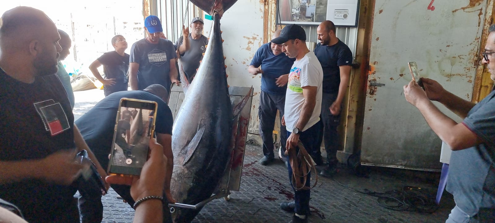 WhatsApp Image 2022-05-25 at 4.38.55 PM (2).jpeg